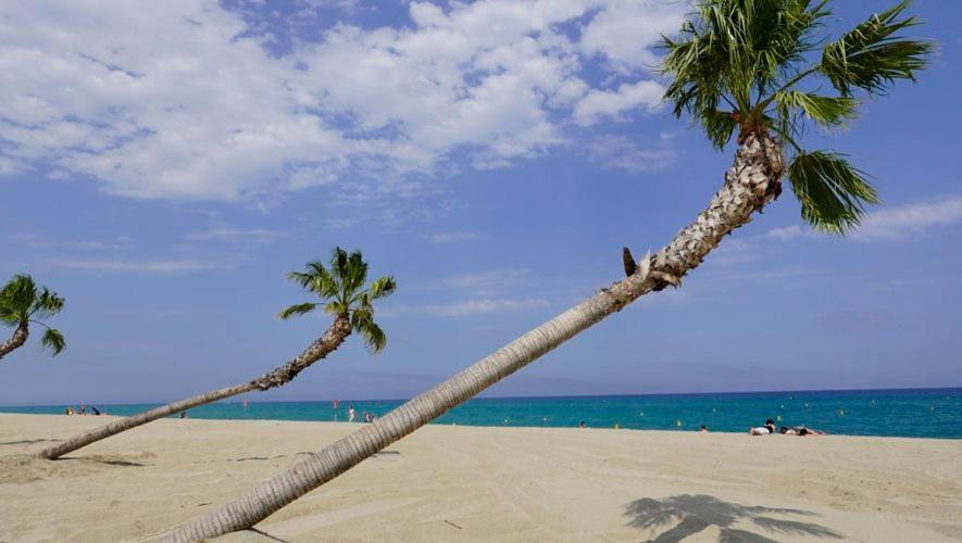 Appartement De Vacances - Splendide Vue Sur Mer, Parking Prive Le Barcares Bagian luar foto